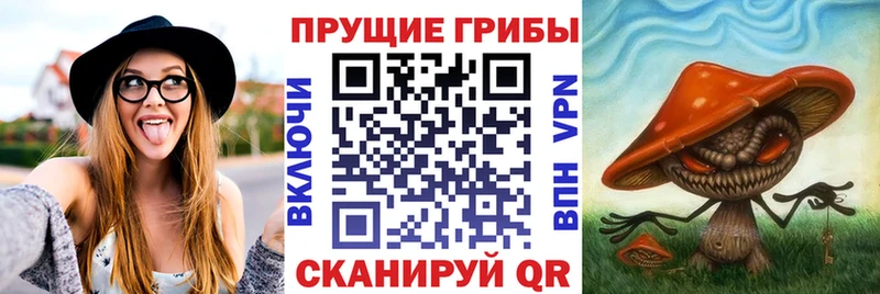 Псилоцибиновые грибы ЛСД ОМГ ОМГ сайт Бийск