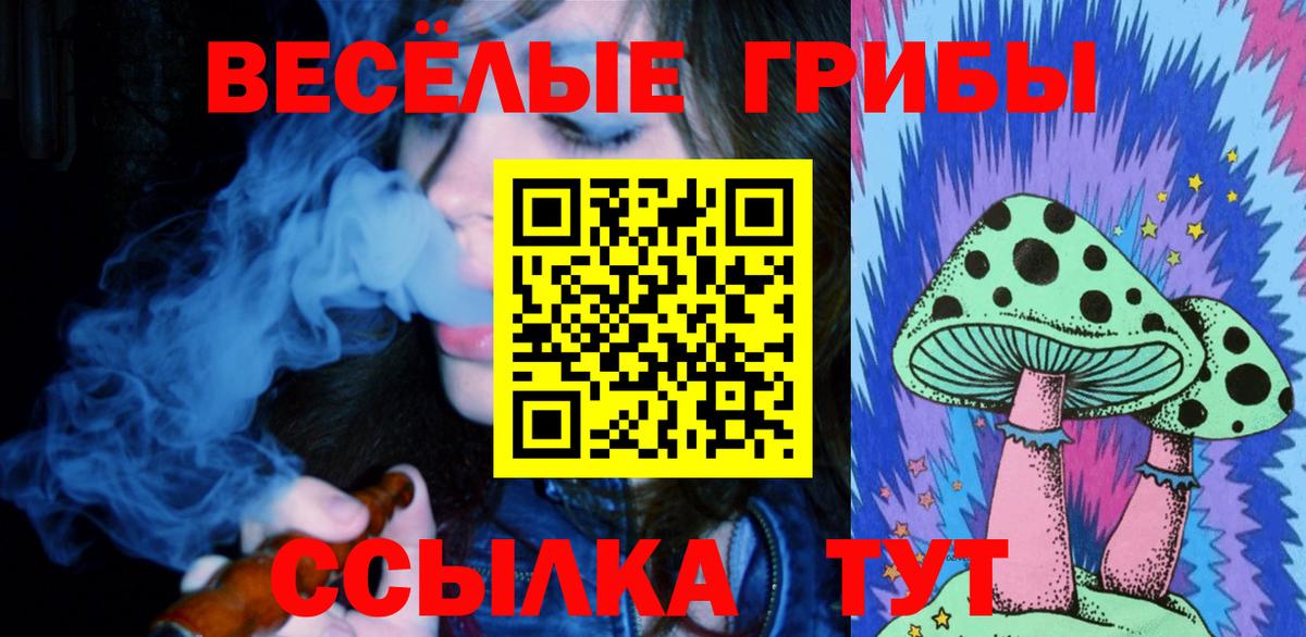 Псилоцибиновые грибы Cubensis  Галлюциногенные грибы мицелий  Бийск 