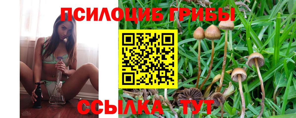 Галлюциногенные грибы Cubensis Бийск